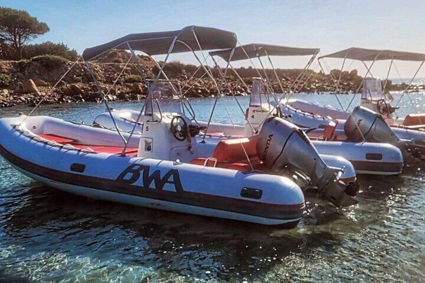 A row of inflatable boats with 'BWA' branding on the side, docked at a calm body of water. 1