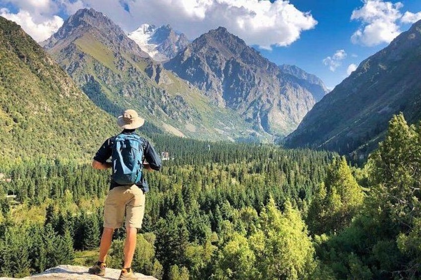 A person standing on a rock, overlooking a forested valley with mountains in the background. 1