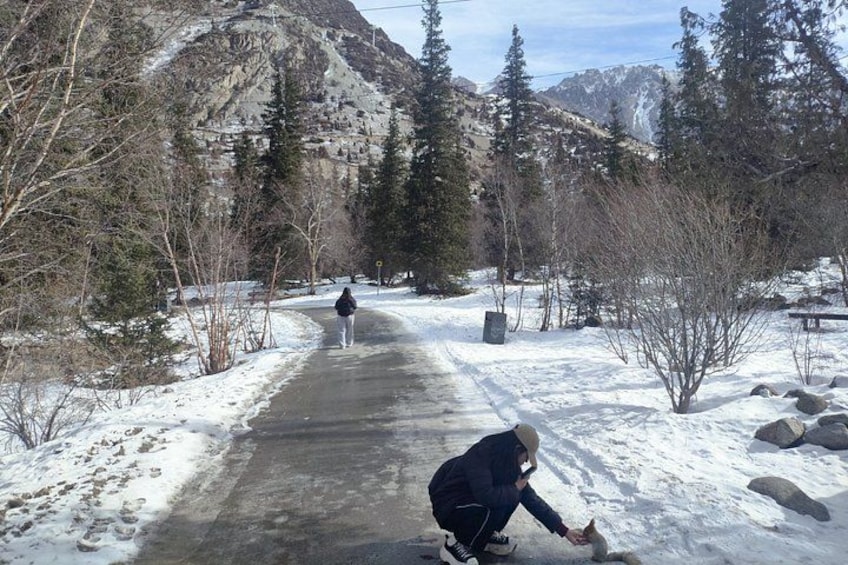 A snow-covered path with a person in a black jacket and hat, another person in the distance, and a mountain in the background. 3