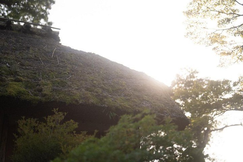 A hillside with dense vegetation and a building partially obscured by trees. 3