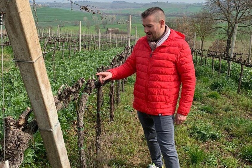 Wine and olive oil tastings with the locals 2