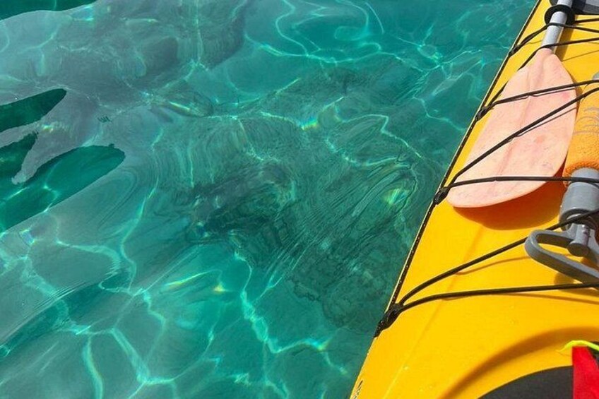 Lefkada Skorpios and Madouri Island-Hopping Kayak Tour with Lunch 2
