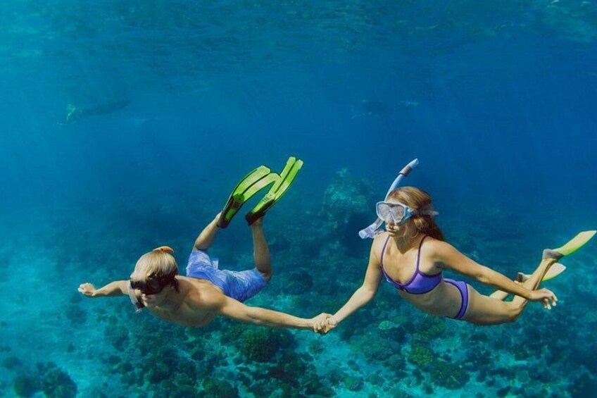 Luxury Catamaran Cruise All-Inclusive & OnBoard Chef | Top Rated! 3