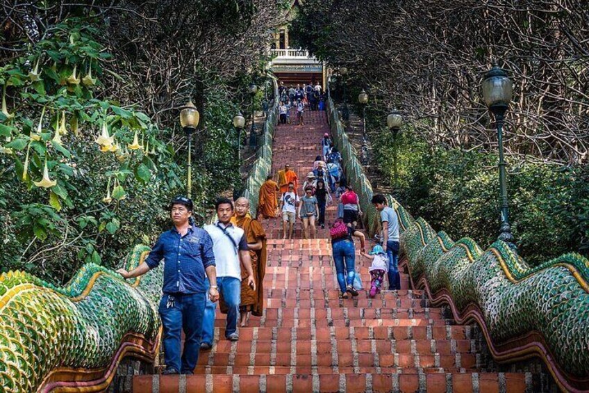A staircase with ornate dragon decorations, surrounded by lush greenery. 2