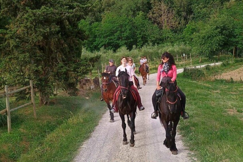 Horseback riding through the vineyards in Montepulciano Tuscany 2