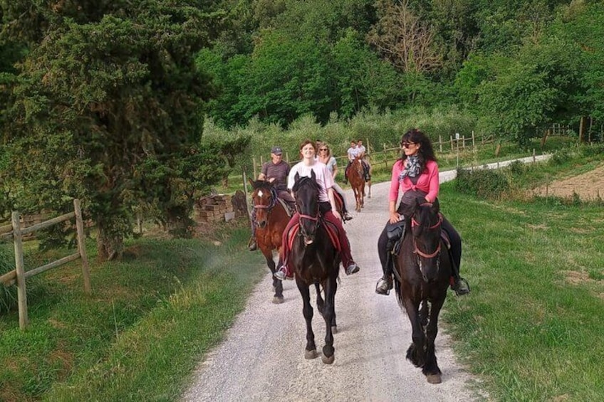 Horseback riding through the vineyards in Montepulciano Tuscany 2