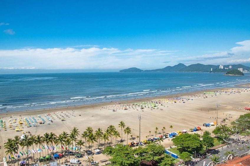 A beach with palm trees, umbrellas, and a clear blue sky. 1