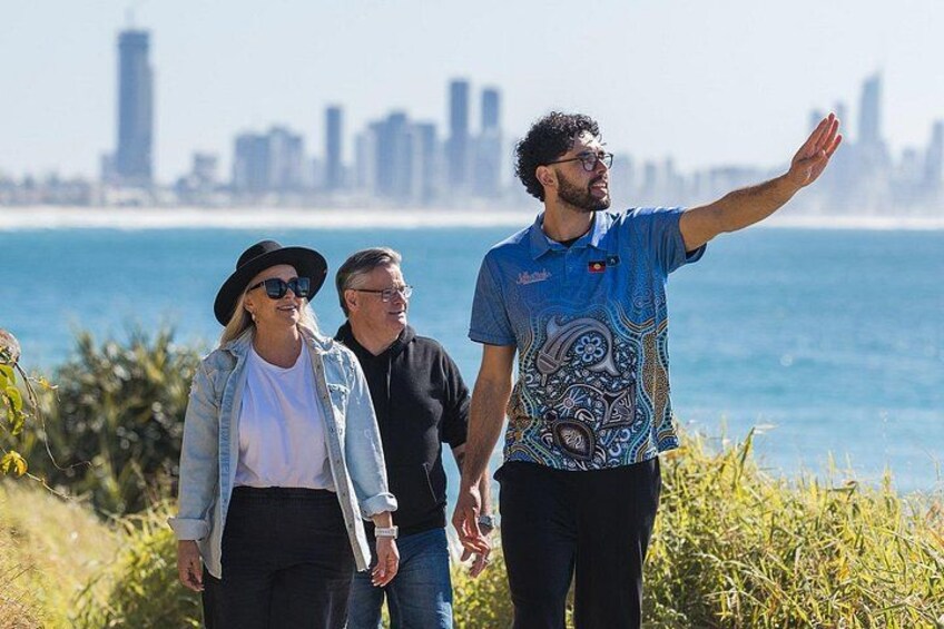 Jellurgal Walkabout - Gold Coast Skyline 1