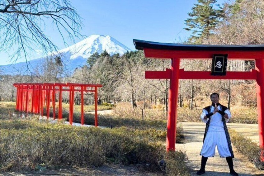 Mt. Fuji, Ninja Village, Oishi Park and Chureito Pagoda Day Tour 1