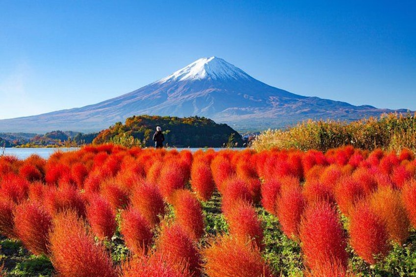 A snow-capped mountain, a person standing on a hill, and red foliage in the foreground. 5