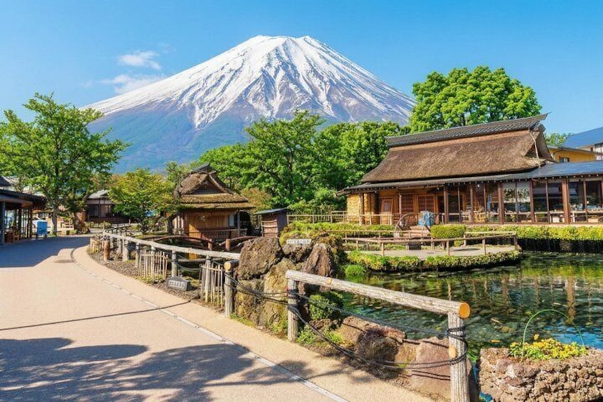 Tokyo: Mount Fuji One Day Trip Lake Kawaguchi & Lake Yamanaka 5