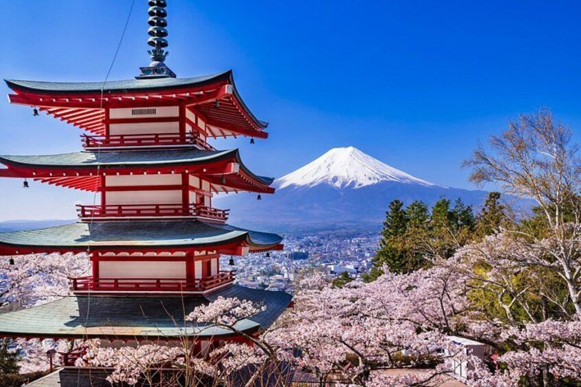 Mt. Fuji, Ninja Village, Oishi Park and Chureito Pagoda Day Tour 3
