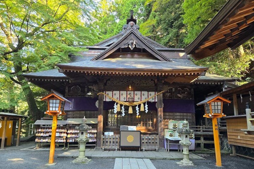 Mt. Fuji, Ninja Village, Oishi Park and Chureito Pagoda Day Tour 5
