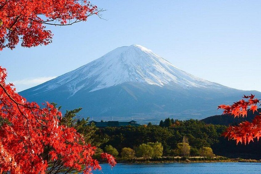 Mt. Fuji, Ninja Village, Oishi Park and Chureito Pagoda Day Tour 4