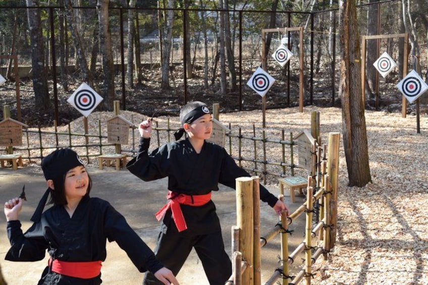 Mt. Fuji, Ninja Village, Oishi Park and Chureito Pagoda Day Tour 2