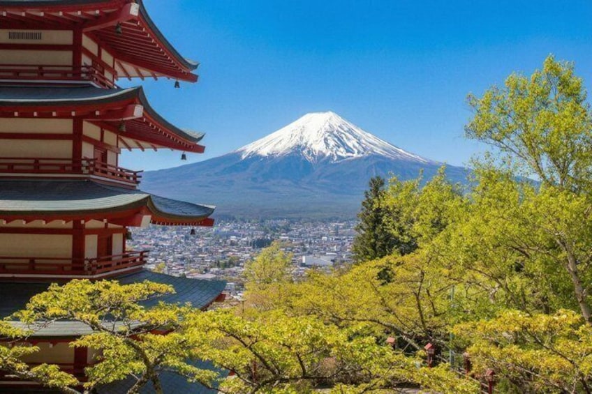 Tokyo: Mount Fuji One Day Trip Lake Kawaguchi & Lake Yamanaka 1