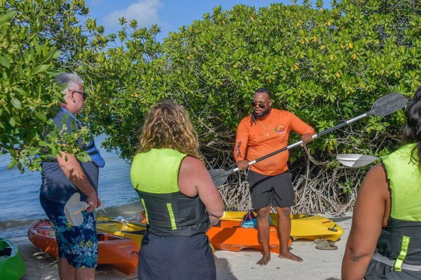 People preparing kayaks on a beach with mangrove trees in the background. 4
