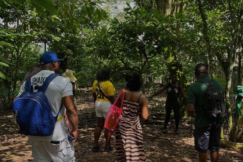 Quadbike(Atv)and Waterfall Adventure with Lunch through Aburi 3