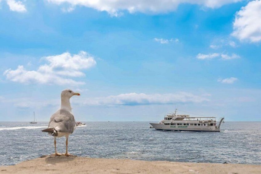 Un gabbiano su una spiaggia sabbiosa, una barca nell'acqua e un cielo sereno. 2