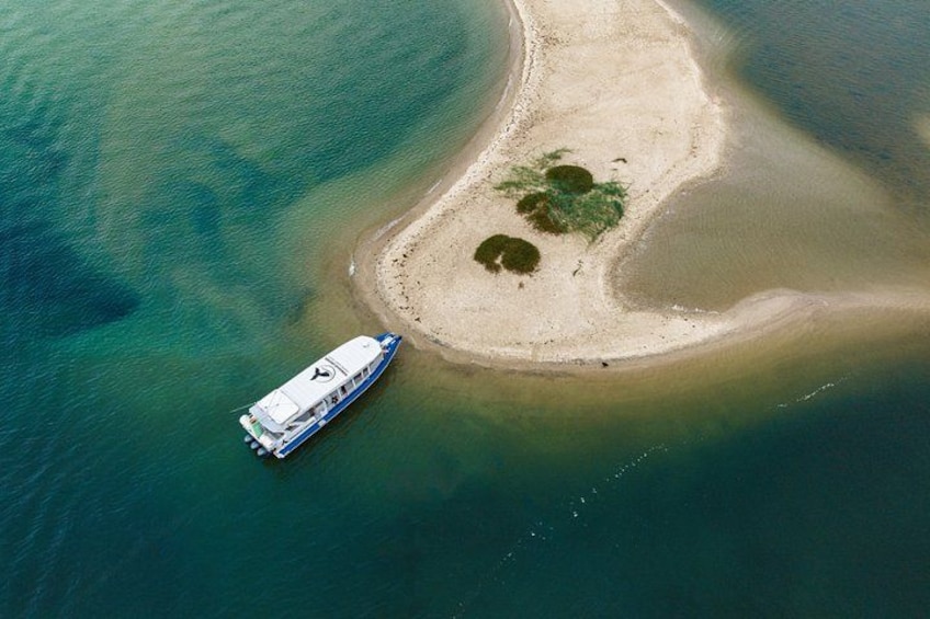 Gold Coast and Wavebreak Island Cultural Small Group Cruise 5