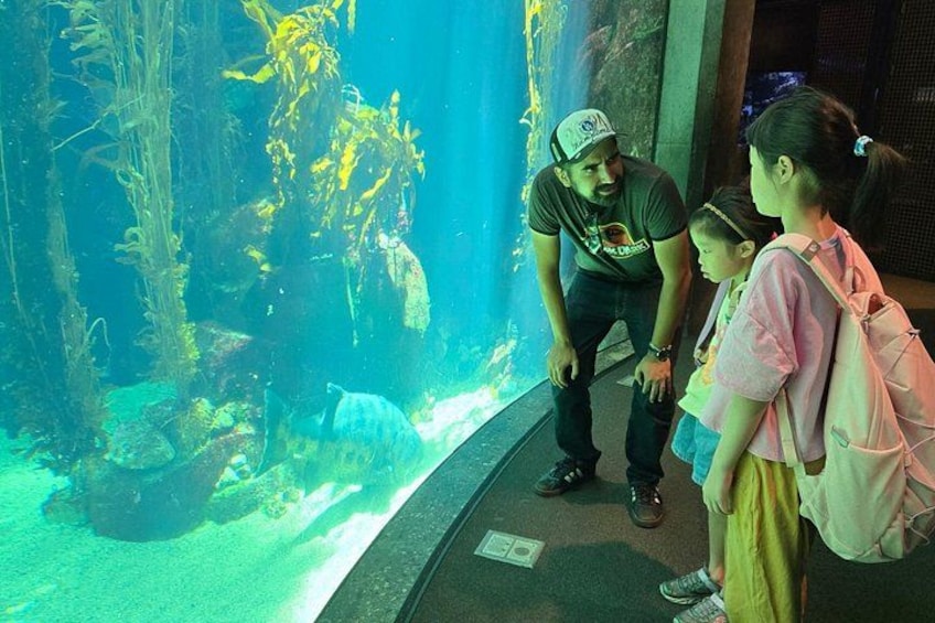 Acuario con plantas acuáticas y una tortuga. 4