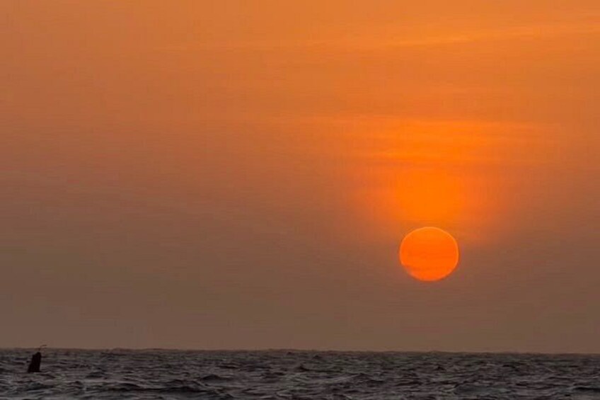 A sunset over the ocean with a visible horizon and a person standing on the shore. 1