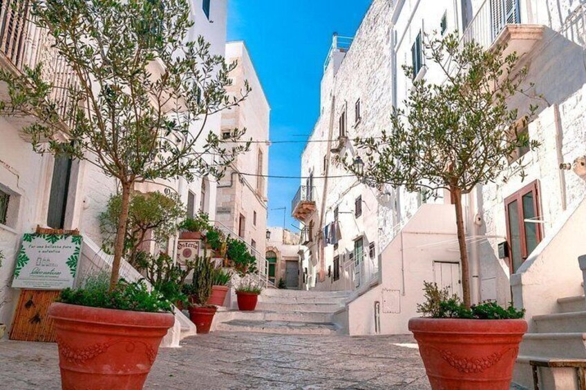 Private Tour in 3 Towns: Alberobello, Cisternino, Ostuni. 5