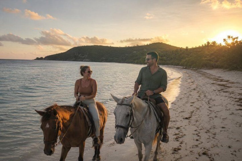Turks & Caicos Sunset Horseback Ride at Blue Hills Beach 5