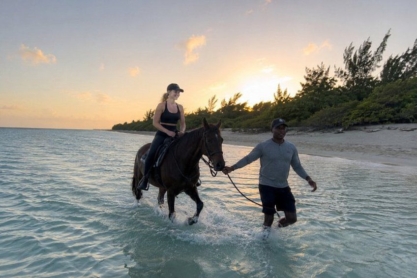 A person riding a horse on a beach at sunset. 3
