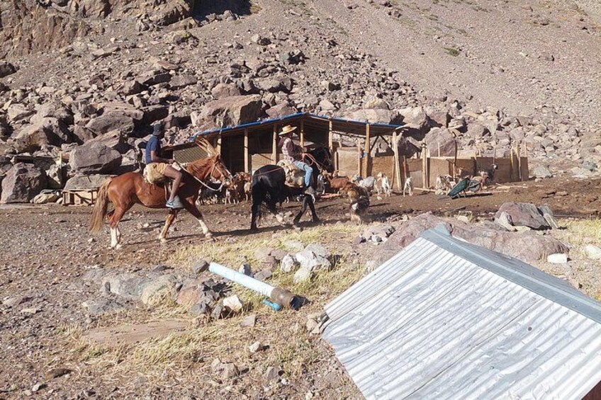 A rocky terrain with a wooden structure, a horse, and a person riding the horse. 3