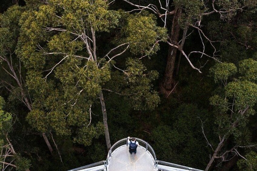 Private 2-Day Tour; Busselton Jetty, Ngilgi Cave & Tree Top Walk 4
