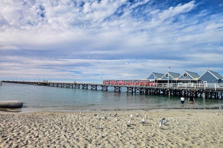 Private 2-Day Tour; Busselton Jetty, Ngilgi Cave & Tree Top Walk 3