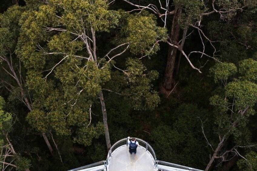 Private 2-Day Tour; Busselton Jetty, Ngilgi Cave & Tree Top Walk 4