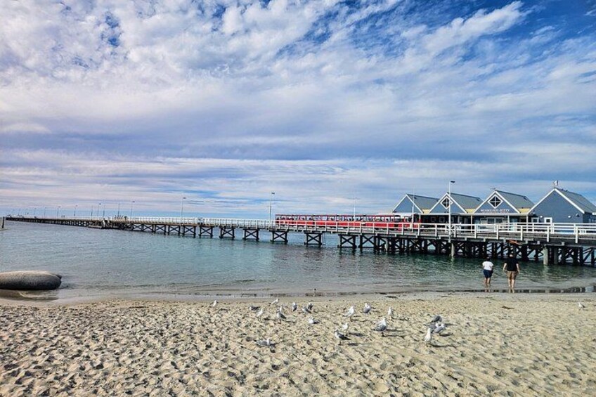 Private 2-Day Tour; Busselton Jetty, Ngilgi Cave & Tree Top Walk 3