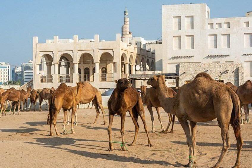 2 Days Qatar Highlights Cultural and Natural Wonders Tour 1