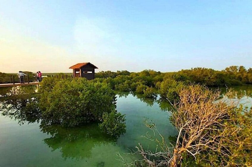 2 Days Qatar Highlights Cultural and Natural Wonders Tour 3