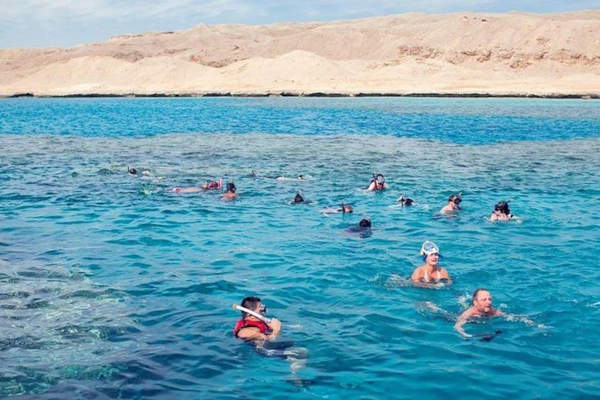 Swim With Dolphins at Dolphin House With Lunch - Hurghada 2