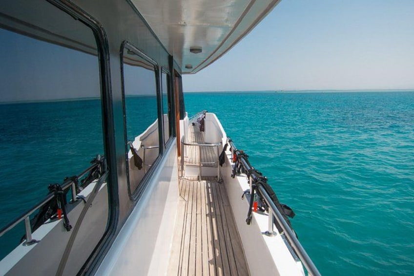 Swim With Dolphins at Dolphin House With Lunch - Hurghada 5