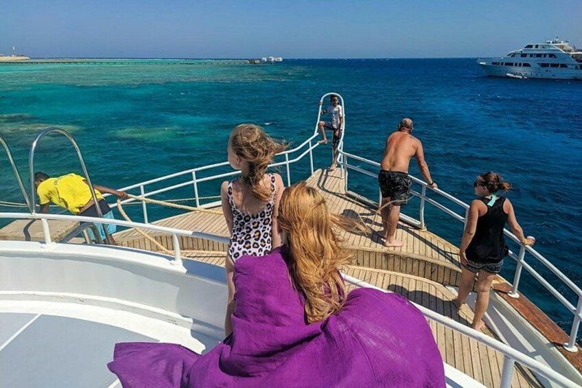 Swim With Dolphins at Dolphin House With Lunch - Hurghada 4