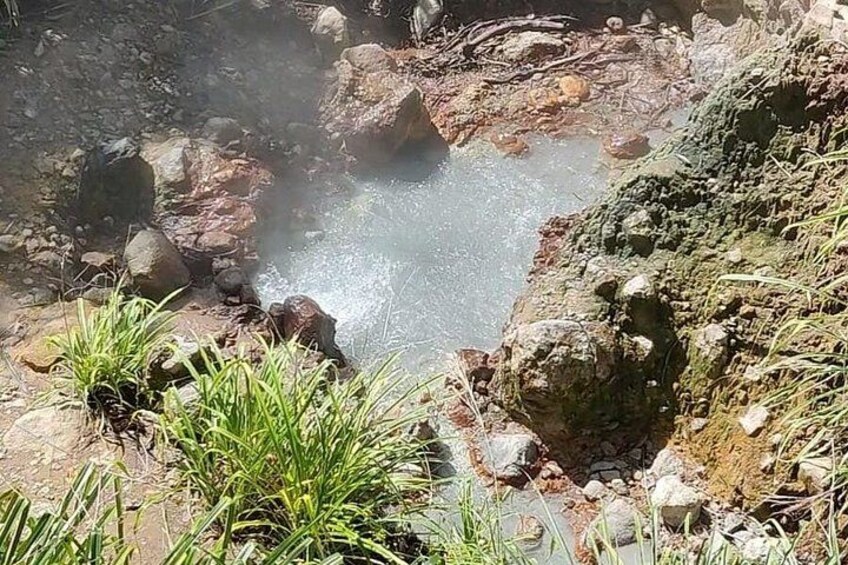 A natural hot spring with clear water, surrounded by rocks and greenery. 4