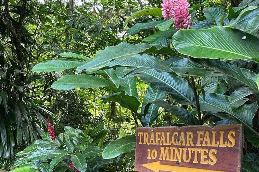 A sign indicating Trafalgar Falls is 10 minutes away. 3