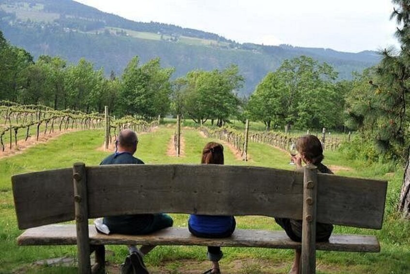 Wine tasting in the stunning Columbia Gorge. 1