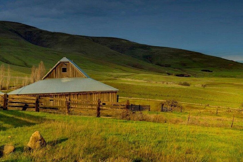 Columbia Gorge Waterfalls & Wineries from Portland: All-Inclusive Afternoon Tour 5