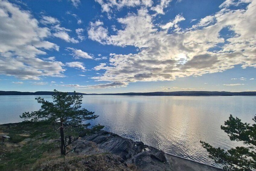 OsloFjord: Malmøya beautiful Island Guided Hike-Waffle&Drink 4