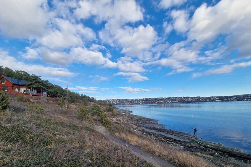 OsloFjord: Malmøya beautiful Island Guided Hike-Waffle&Drink 5