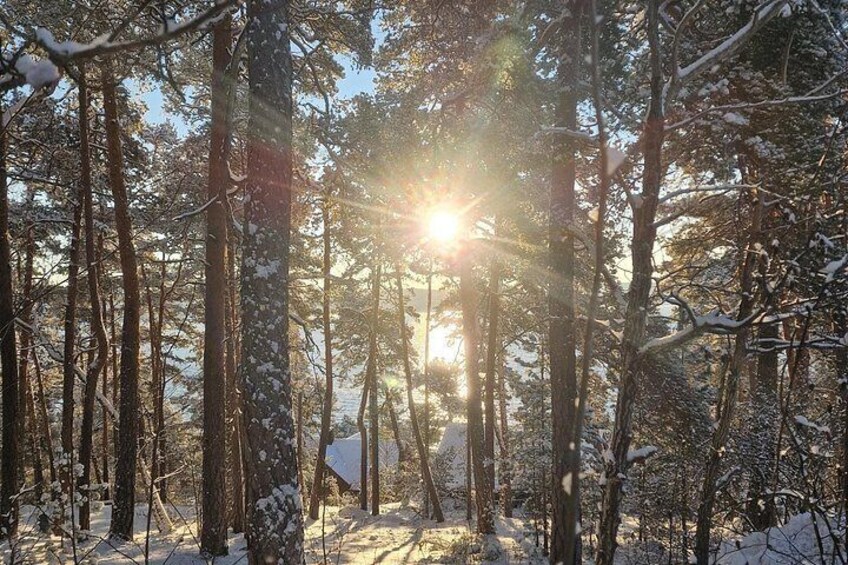 OsloFjord: Malmøya beautiful Island Guided Hike-Waffle&Drink 3