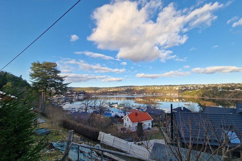 OsloFjord: Malmøya beautiful Island Guided Hike-Waffle&Drink 4