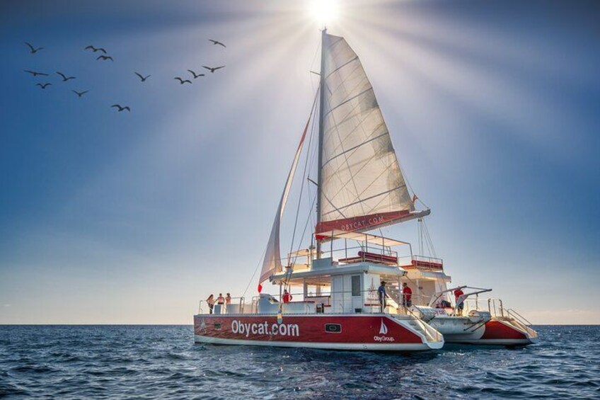Ein Segelboot mit großer Segel und mehreren Decks fährt über den Ozean, am wolkenlosen Himmel fliegen Vögel. 1