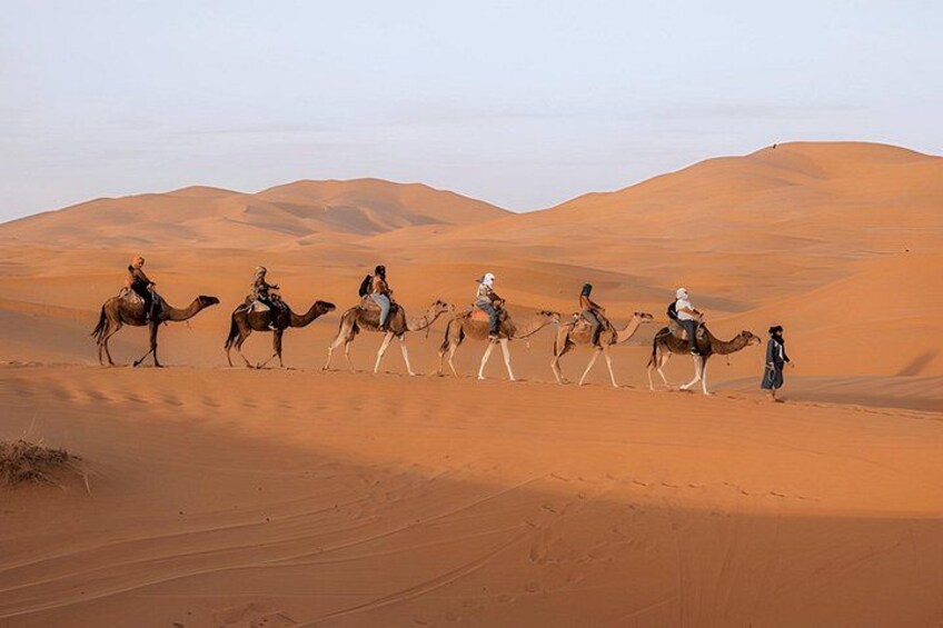 8 Days Desert Exploration Tour from Casablanca 1