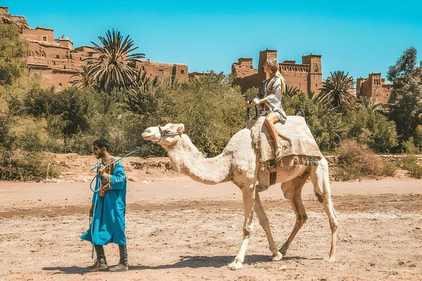 8 Days Desert Exploration Tour from Casablanca 5